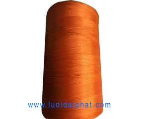 Chỉ trục màu cam