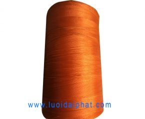 Chỉ trục màu cam